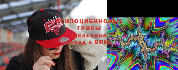2c-b Надым