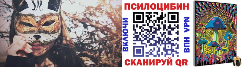 Псилоцибиновые грибы мицелий дарнет шоп блэк спрут зеркало Москва