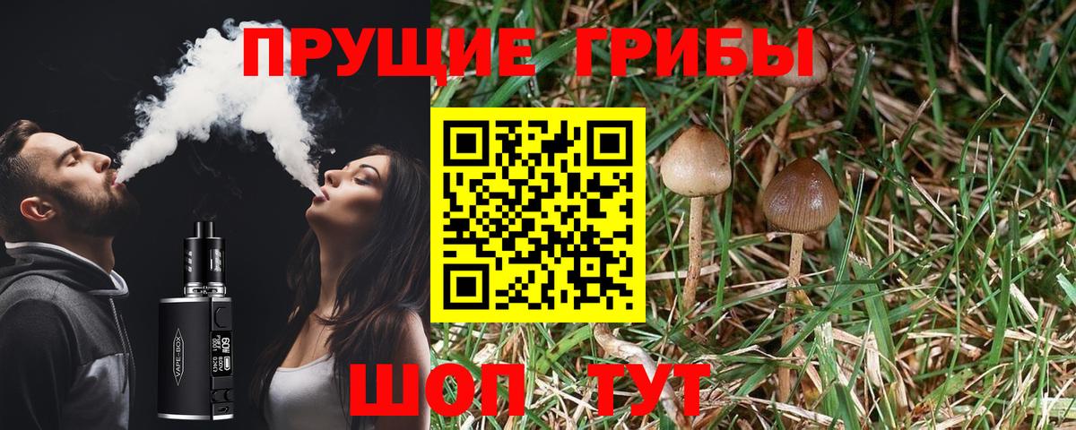 Галлюциногенные грибы MAGIC MUSHROOMS Москва